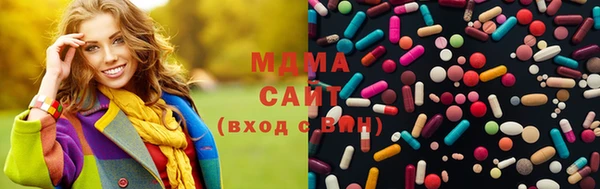 мдпв Бородино