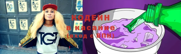 мдпв Бородино