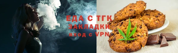мдпв Бородино