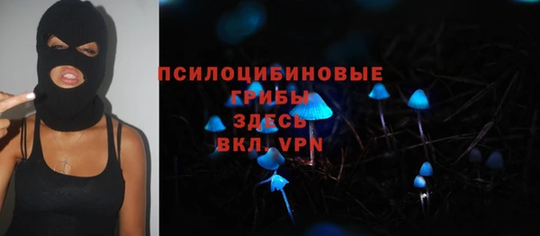 гидра Бугульма