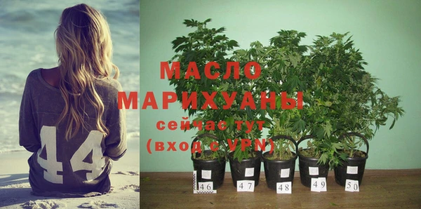 мдпв Бородино