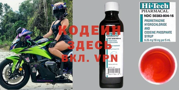 мдпв Бородино