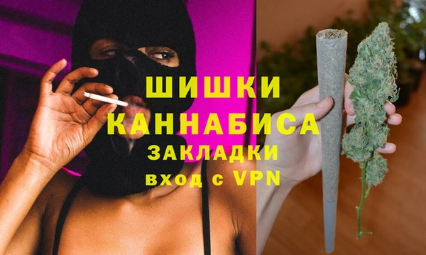 мдпв Бородино