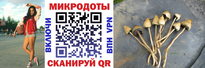 купить   кракен вход  Псилоцибиновые грибы мицелий  Юрьевец 